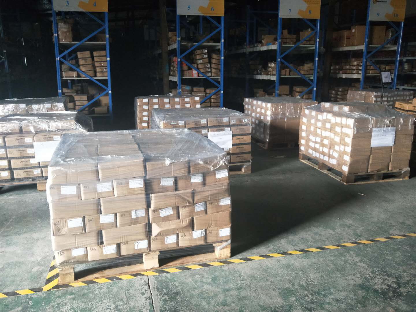 宁波德维特迎来发货季！